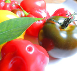 Tomaten und Chilli aus Eigenzucht