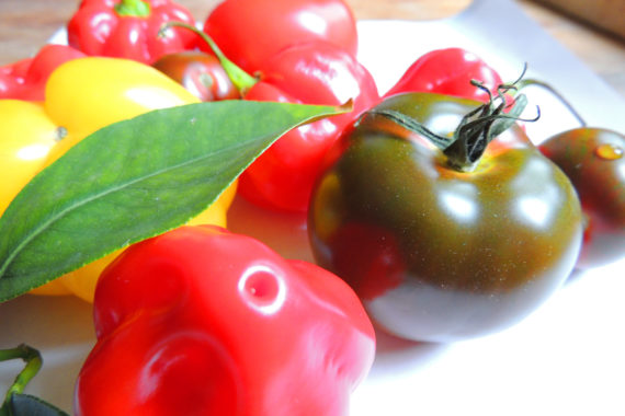 Tomaten und Chilli aus Eigenzucht