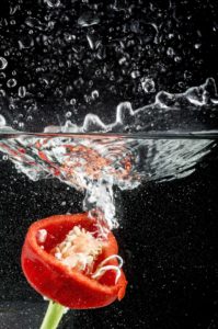 rote Paprika